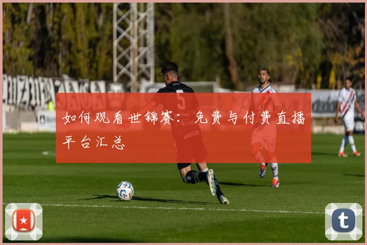 如何观看世锦赛:免费与付费直播平台汇总