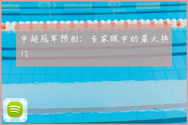 中超冠军预测：专家眼中的最大热门